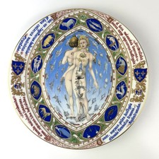 Ch. FIELD HAVILAND Anatomical