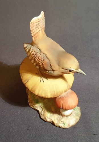 Royal osborne bird - osborne,