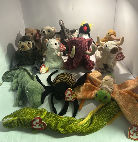 Job lot beanie baby - lot, 13