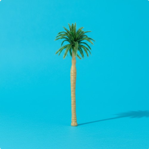 Miniature coconut tree - miniature,