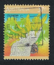 Sulphur-crested Cockatoo Bird