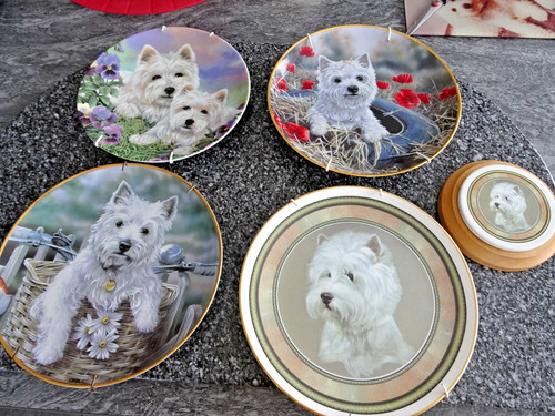 Used westie wall - used,
