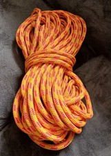 Professional Arborist Climbing