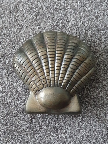 Solid brass nautical seashell - brass,