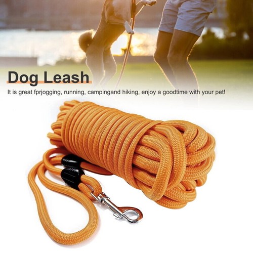 Long dog lead tracking - tracking, leash