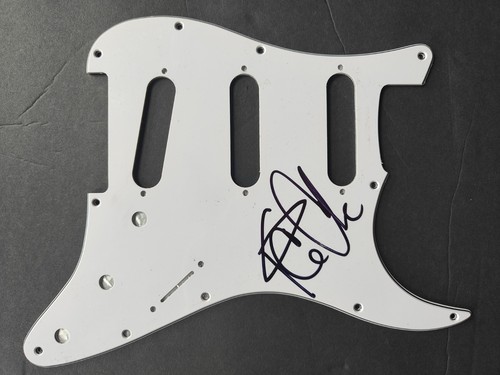 Ice cube signed - signed, guitar