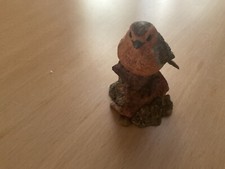 Border fine arts: Robin