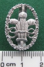 Cheshire Constabulary collar badge