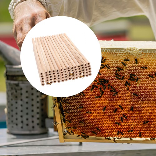 Pcs bamboo tubes - pcs,