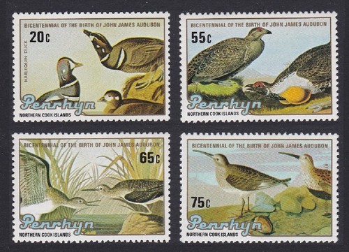 Duck grouse sandpiper - grouse,