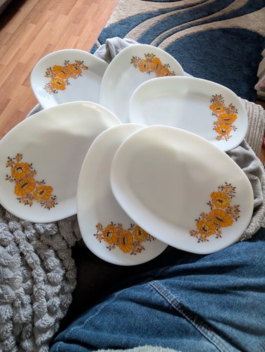 Vintage pyrex steak oval - oval, milk