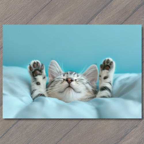 Art print cat - art, in