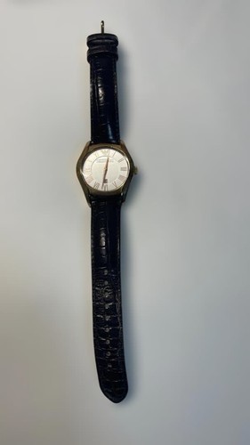 Emporio armani watch gold - armani,