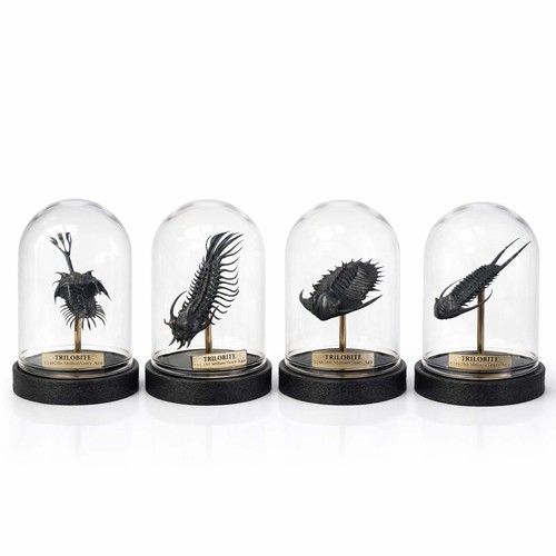 Trilobite replica fossils - ,