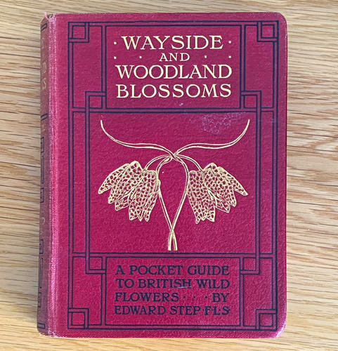 Wayside and woodland blossoms - and,