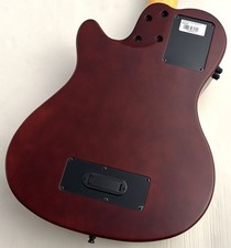 Godin A5 Ultra Fretless AE