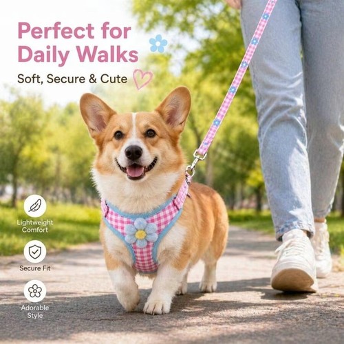 Dog harness and leash set - harness,