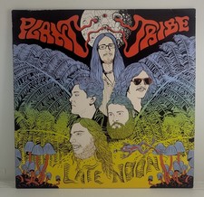 Plant Tribe Late Noon 12"