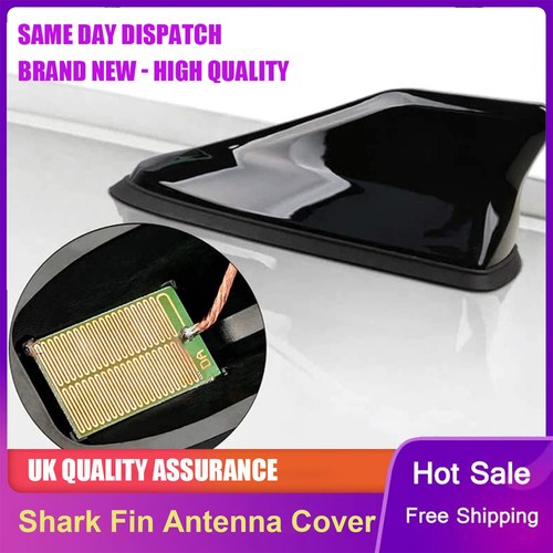 Gloss black car - car, shark