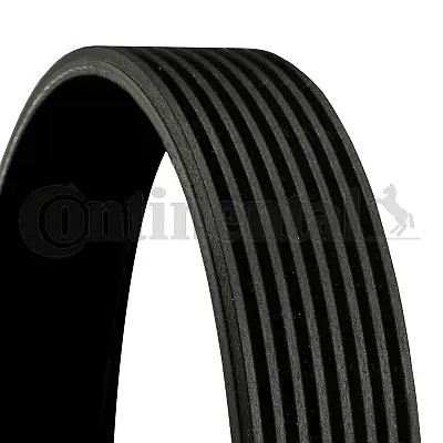 Ribbed belt fits - v-ribbed,