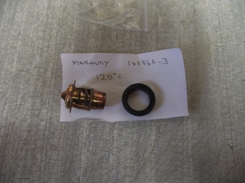 Mercury outboard motor