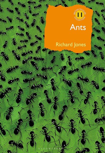 Ants the ultimate - the,