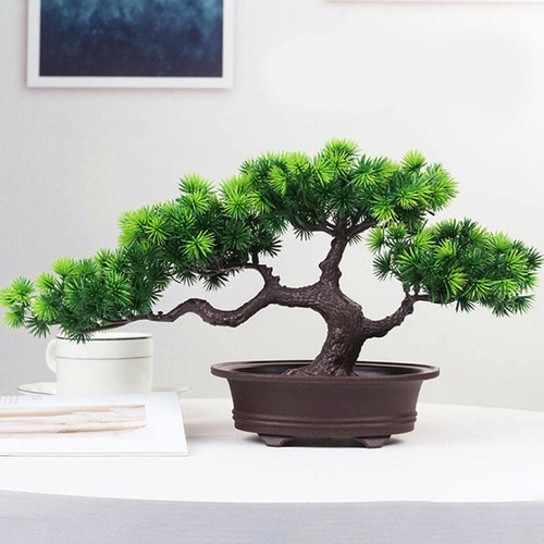 Simulation bonsai pine fake - simulation,