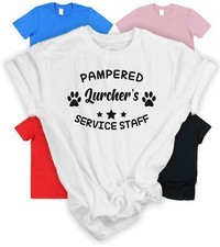 Service Staff Pampered Lurcher