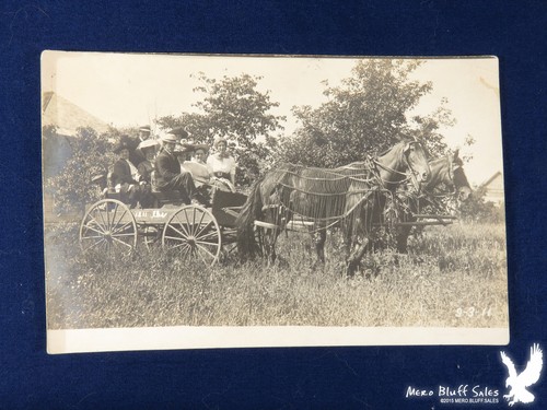 Rppc horses fly nets wheel - horses,