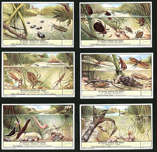 Collectible pictures liebig - collectible,