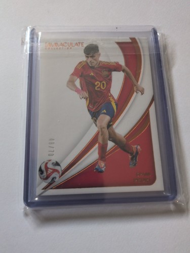 2024 panini immaculate - 2024-25,