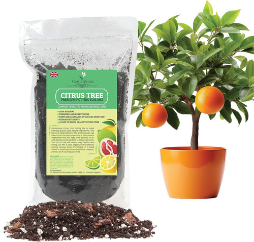 Citrus tree potting - tree, mix