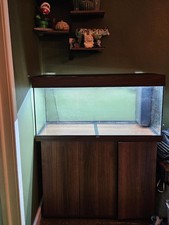 Juwel Rio 180 Aquarium Fish