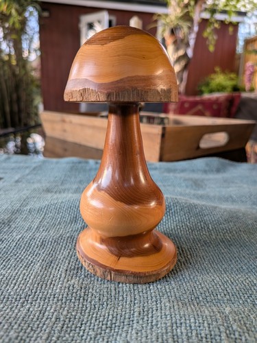 Vintage natural bark edge - bark,