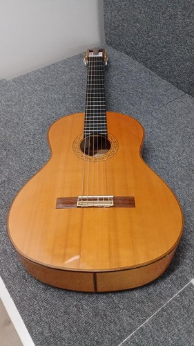 Aria ac100f flamenco acoustic - aria,