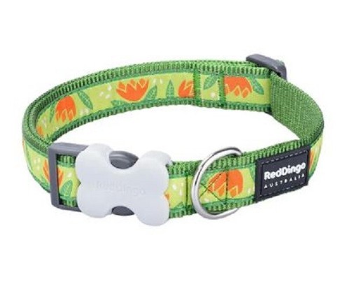 Red dingo tropical - dingo, green