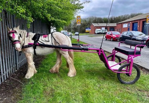 Pink pony cart - , excel