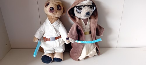 Compare the market - compare, meerkat