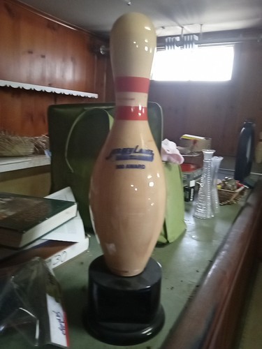 Official bowling award 300 - bowling,