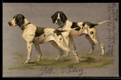 Postcard english pointer - english,