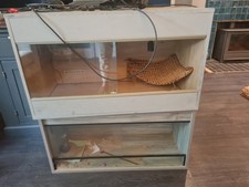 Large Bearded Dragon Vivarium Setup