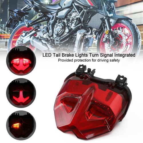 Tail brake lights - tail,