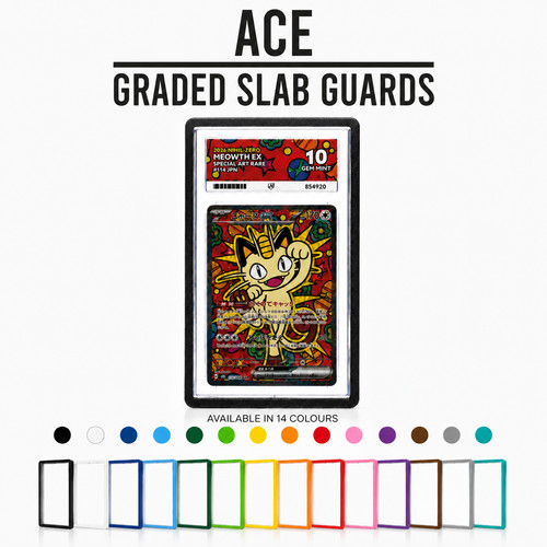 Ace grading slab guard - grading,