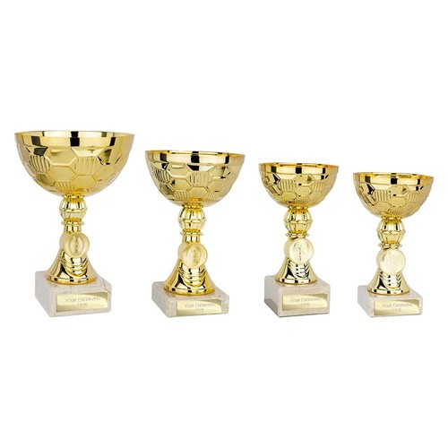 Presentation cup trophy - presentation,