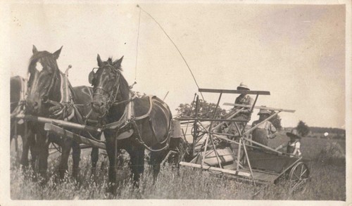 Vintage farming photo - vintage,