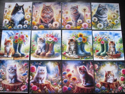 Mix kittens cats - 12,