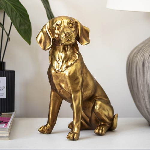 Golden sitting beagle dog - golden,