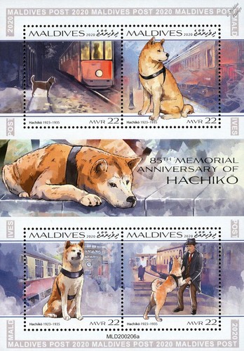 Dogs japanese akita hachikō - akita,
