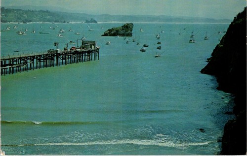 Trinidad california harbor - trinidad,