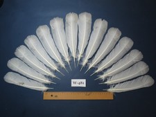 14 Pcs White Turkey Tail